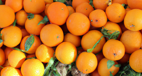 ¿Cómo podemos aprovechar al máximo los beneficios de las naranjas?