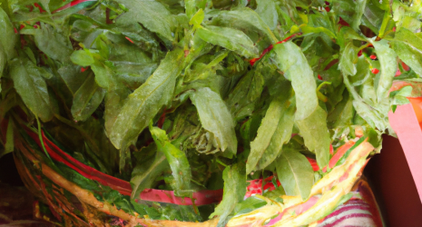 ¿Cuál es el significado simbólico de la menta en diferentes culturas?