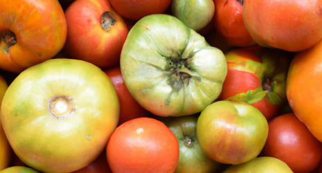 ¿Cuál es la importancia económica de los tomates en la agricultura mundial?