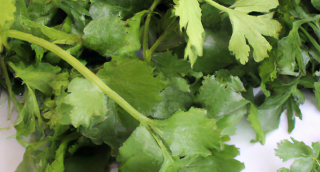 Las 100 dudas más importantes sobre el cilantro: ¿Qué es el cilantro?