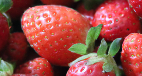 ¿Las fresas son un alimento apto para personas con alergia al polen?