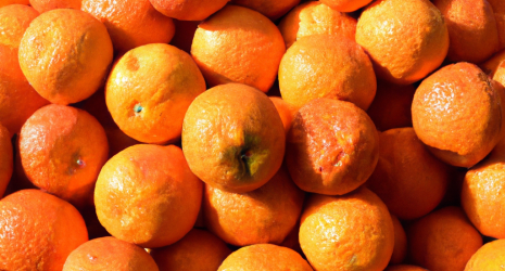 ¿Las naranjas aportan fibra a la dieta?