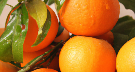 ¿Las naranjas contienen vitamina E?