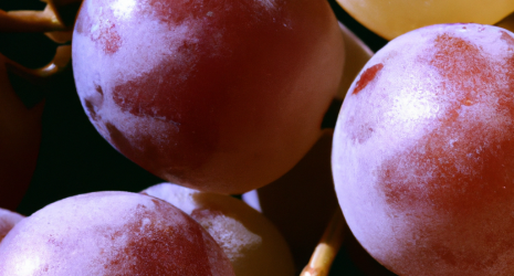 ¿Las uvas son recomendadas para personas con problemas de hipertiroidismo?