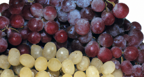 ¿Las uvas tienen muchas calorías?