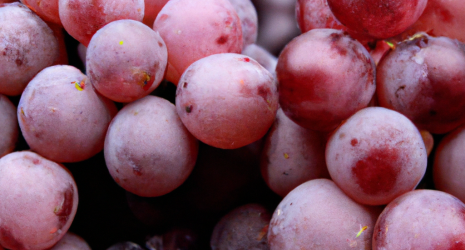 ¿Qué beneficios aporta el resveratrol presente en las uvas?